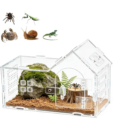 Amazon | REPTI ZOO磁気アクリル爬虫類テラリウム 8インチ x 4インチ x
